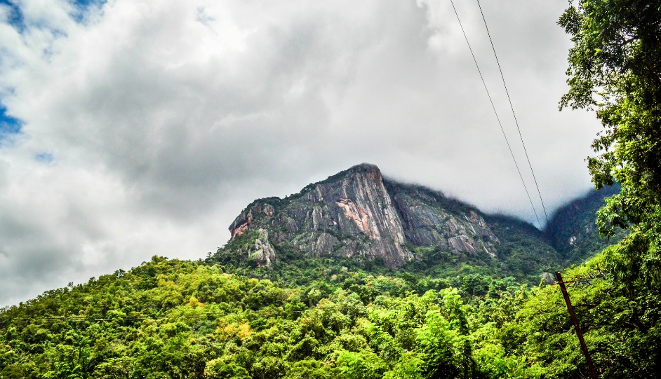 Western Ghats Wildlife Circuit: Valparai, Parambikulam & Nelliyampathy Guide